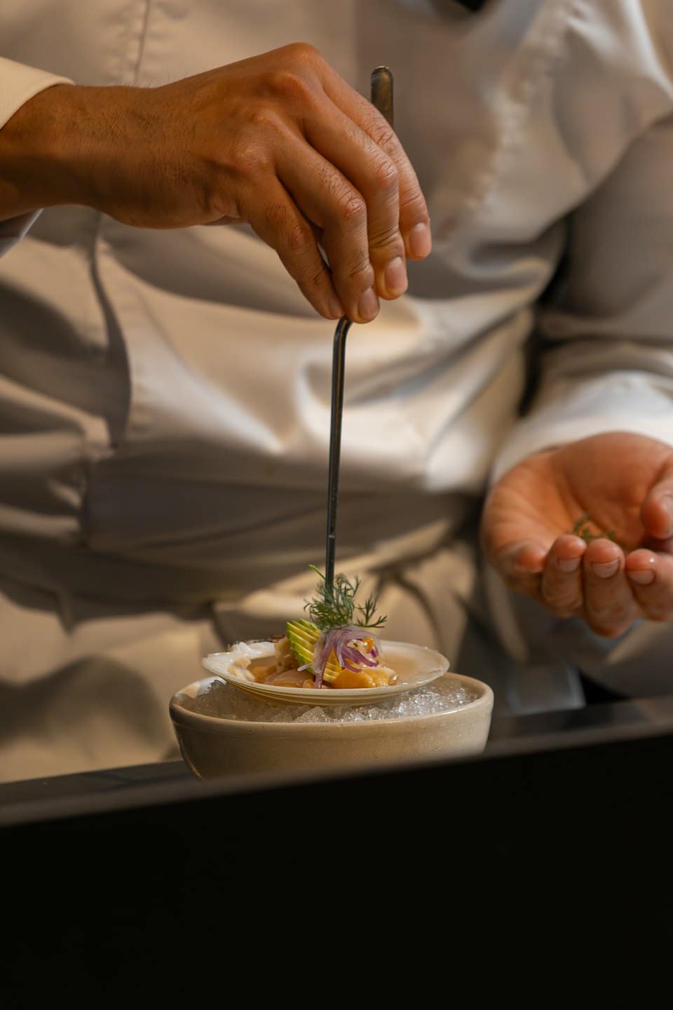 Chef decora con cuidado un ceviche de vieiras con eneldo fresco.